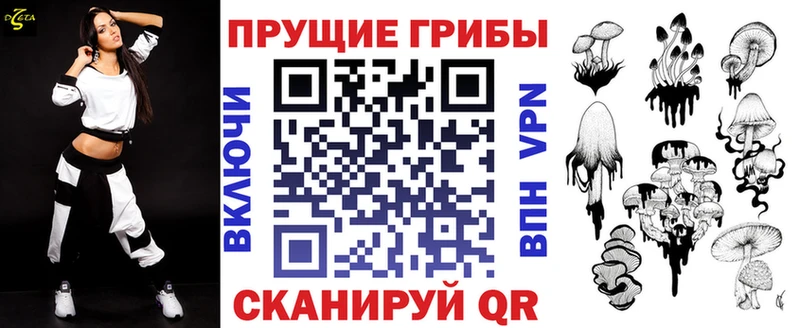 сайты даркнета состав  Никольское  Галлюциногенные грибы мицелий 
